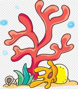 Раскраска коралл для детей #4 #346597