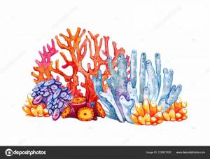 Раскраска коралл для детей #13 #346606