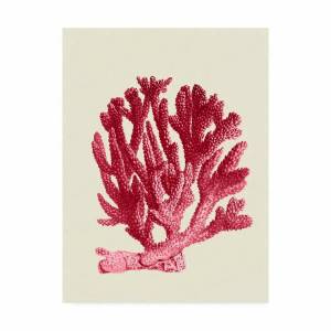 Раскраска коралл для детей #17 #346610