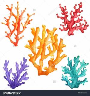 Раскраска коралл для детей #29 #346622