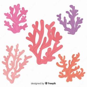 Раскраска коралл для детей #30 #346623