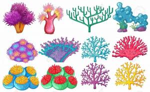 Раскраска коралл для детей #33 #346626