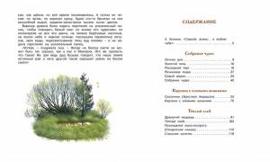 Раскраска корзина с еловыми шишками паустовский #31 #347169