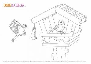 Раскраска кормушка для птиц для детей 4 5 лет #15 #347486
