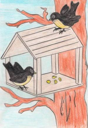 Раскраска кормушка для птиц для детей 4 5 лет #20 #347491