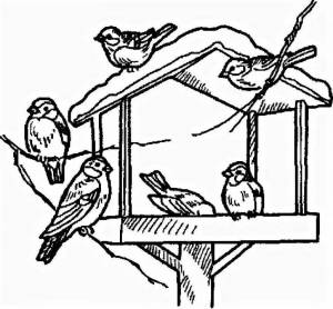 Раскраска кормушка для птиц для детей 4 5 лет #25 #347496