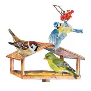 Раскраска кормушка с птицами зимой для детей #5 #347514