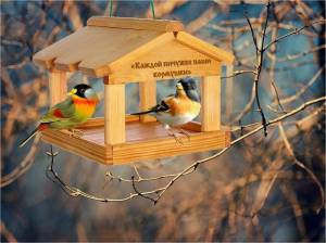 Раскраска кормушка с птицами зимой для детей #8 #347517