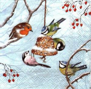 Раскраска кормушка с птицами зимой для детей #9 #347518