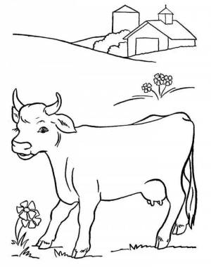 Раскраска корова для детей 5 6 лет #26 #347837