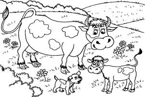 Раскраска корова для детей 5 6 лет #30 #347841