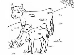 Раскраска корова для детей 5 6 лет #32 #347843