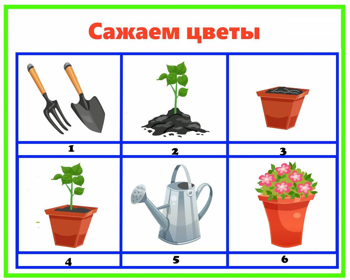 Комнатные растения для детей 6 7 лет #5