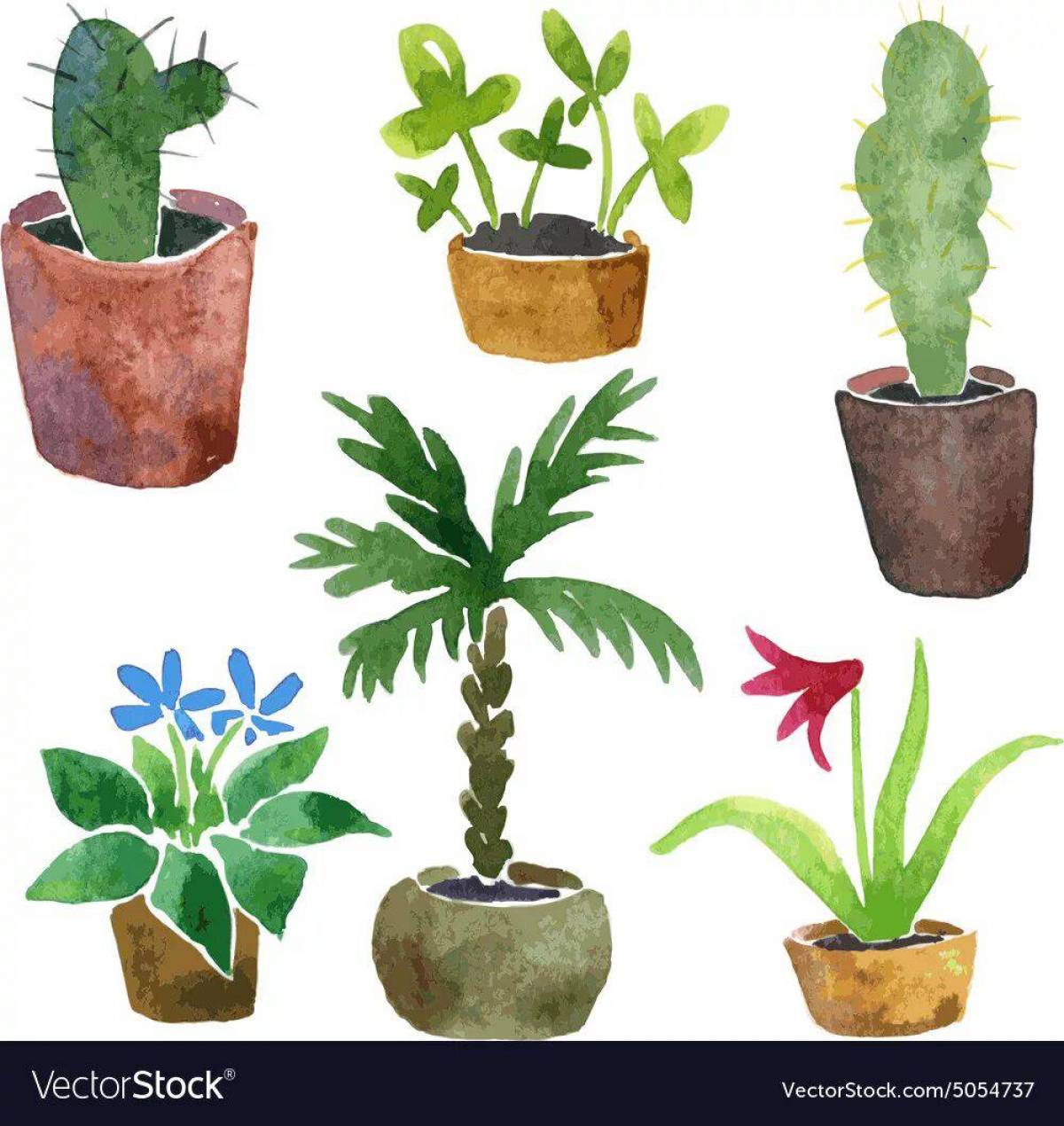 Комнатные растения для детей 6 7 лет #28