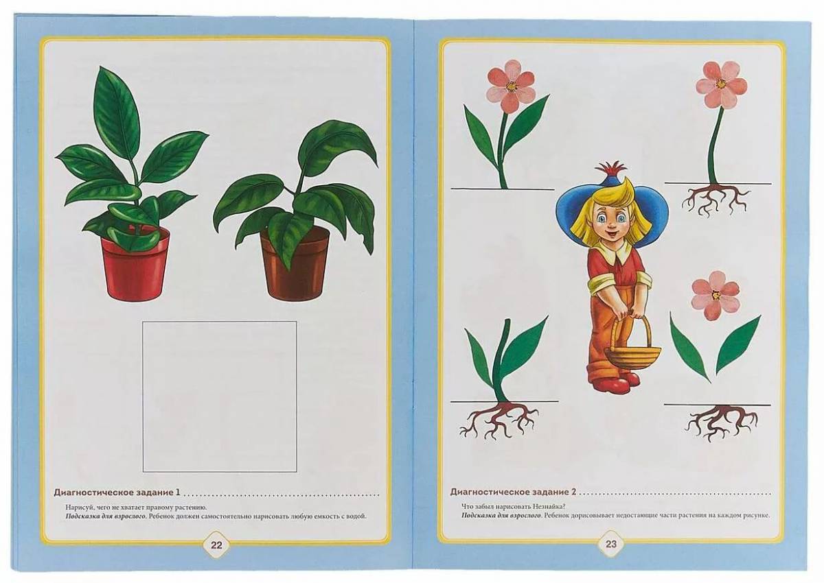 Комнатные растения для дошкольников #14