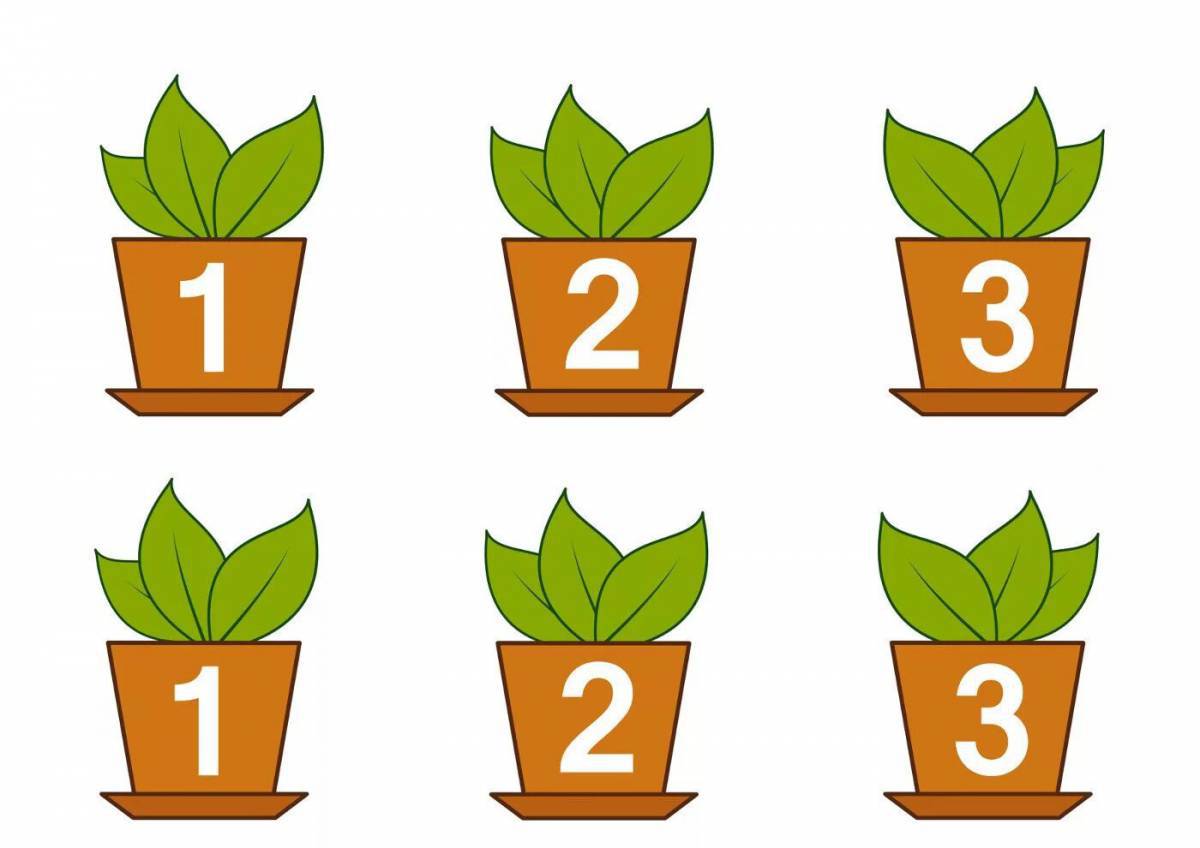 Комнатные растения для дошкольников #23
