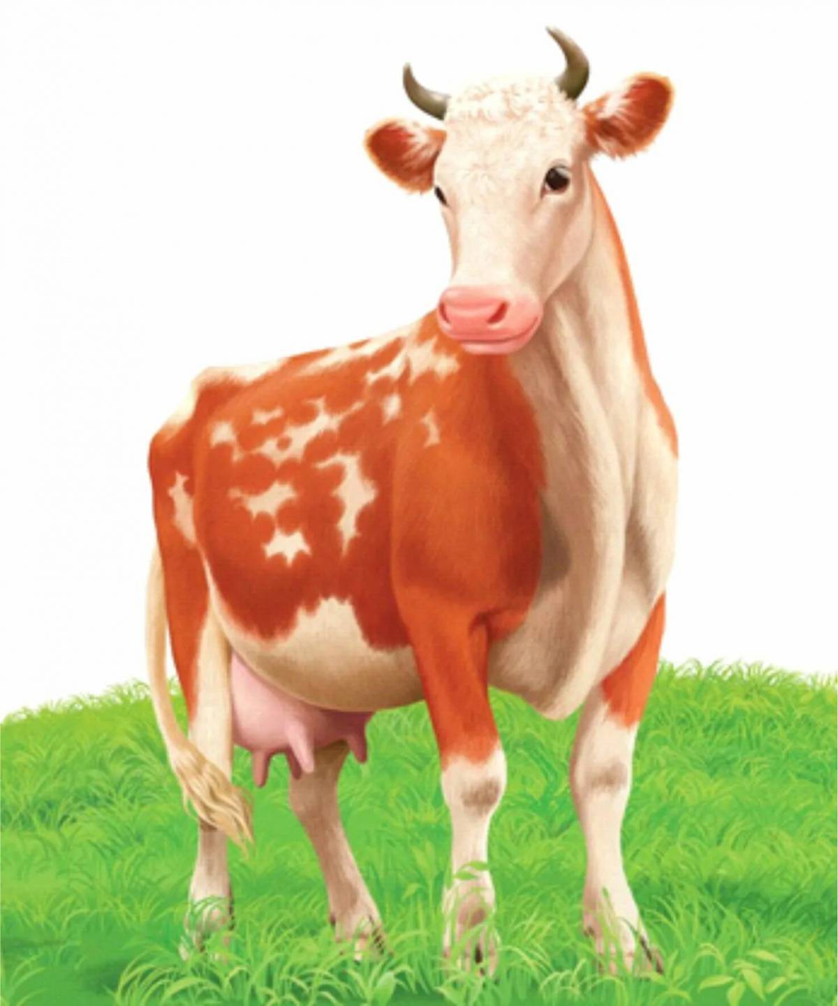 Корова для детей 2 3 лет #38