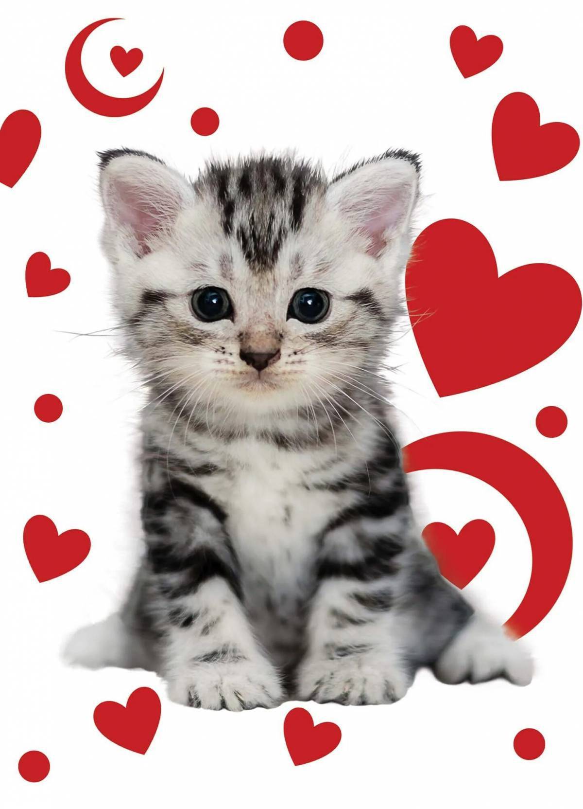 Сердечко котик