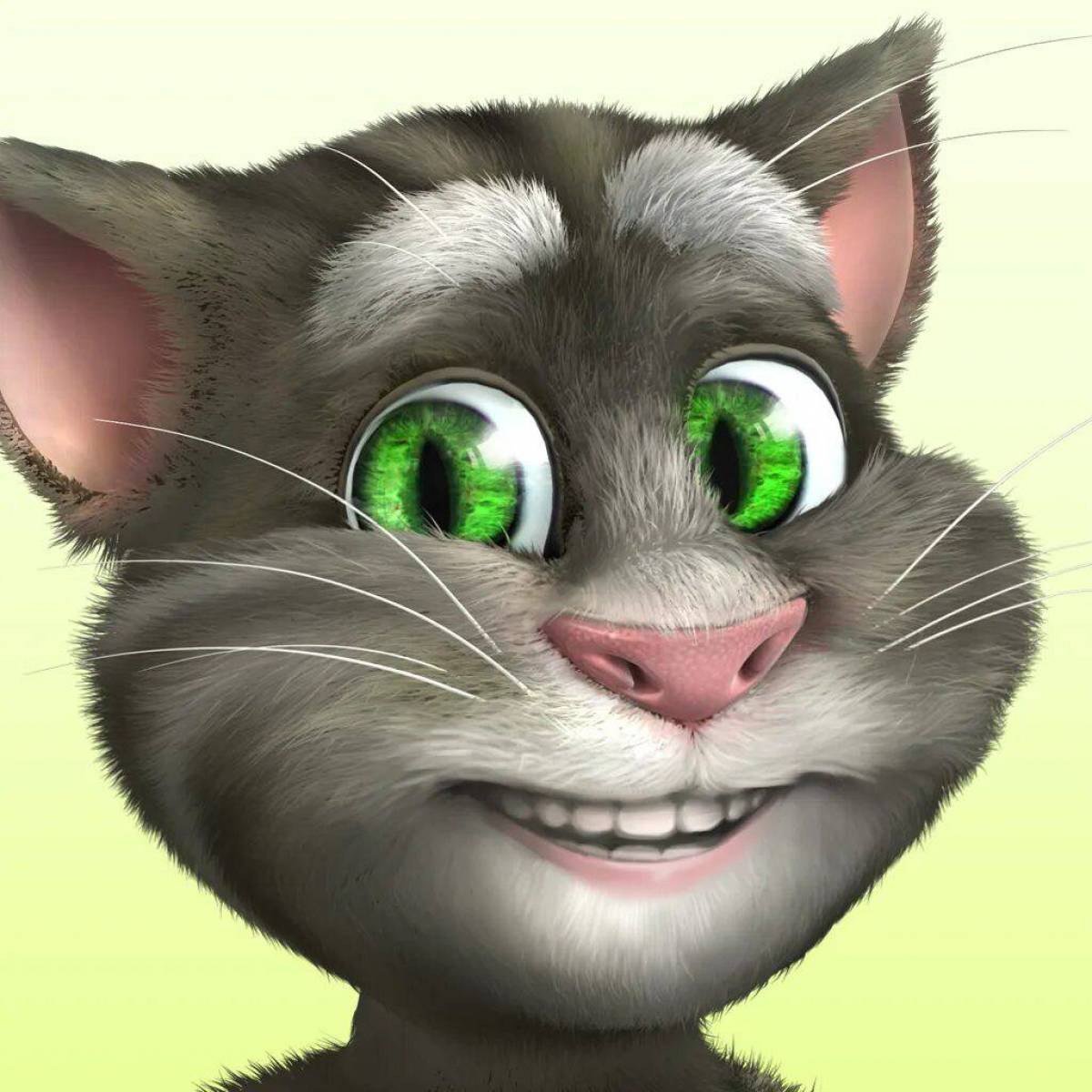 Покажи мой говорящий. Talking Tom Cat. Игра talking Tom Cat (2010). Talking Tom 2011. Talking Tom 2.