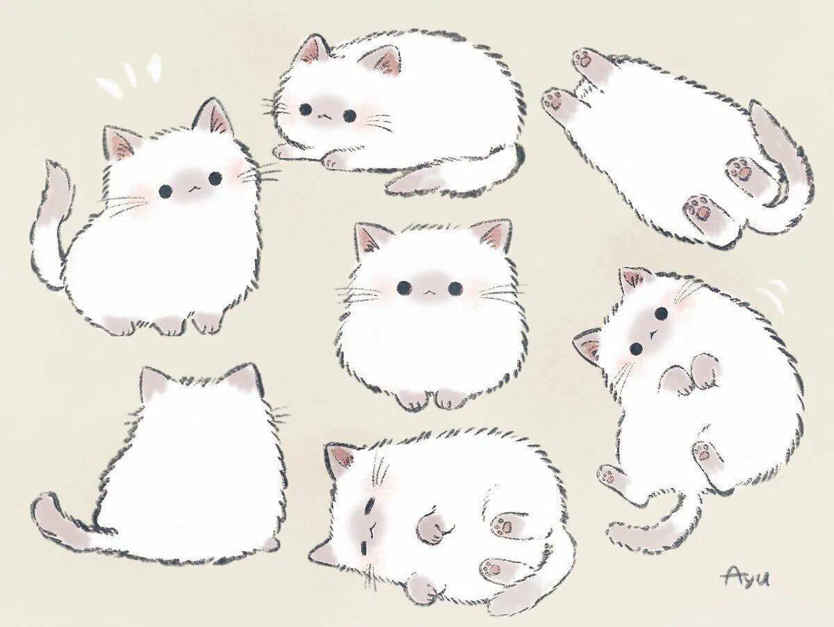 Рисунки милых котиков