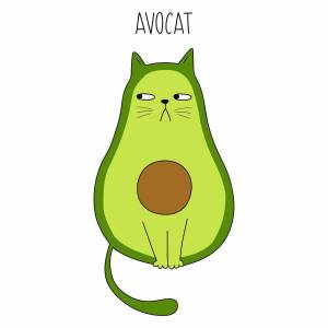 Раскраска кот авокадо #1 #349022