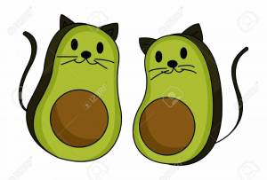 Раскраска кот авокадо #7 #349028
