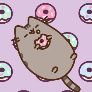Раскраска кот пончик #5 #349522