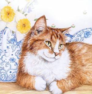 Раскраска кот рисунок #10 #349592