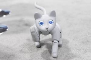 Раскраска кот робот #1 #349622