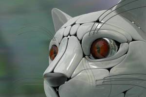Раскраска кот робот #13 #349634