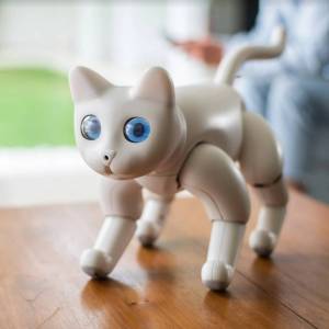 Раскраска кот робот #18 #349639