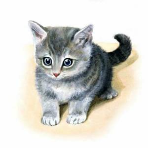 Раскраска котенок для детей 2 3 лет #12 #349921