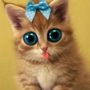 Раскраска котенок с бантиком #6 #350010