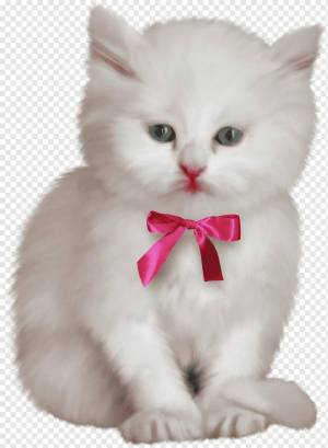 Раскраска котенок с бантиком #8 #350012