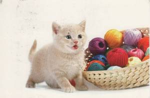 Раскраска котенок с клубком #12 #350050