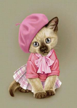 Раскраска котенок с одеждой #4 #350079