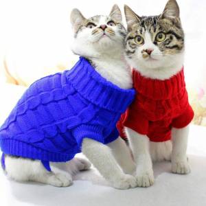 Раскраска котенок с одеждой #15 #350090