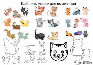 Раскраска котик печать #36 #350428