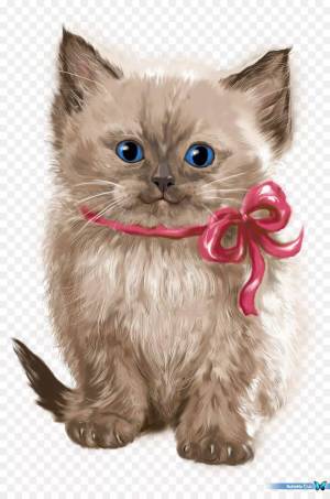 Раскраска котик с бантиком #38 #350571