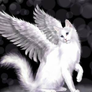 Раскраска котик с крыльями #1 #350572
