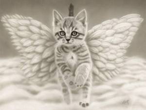 Раскраска котик с крыльями #13 #350584