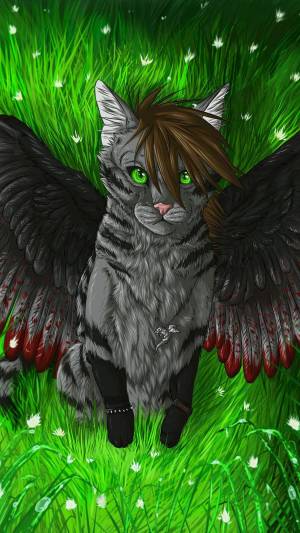Раскраска котик с крыльями #25 #350596