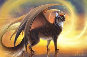 Раскраска котик с крыльями #27 #350598