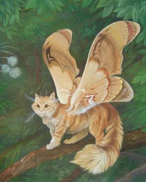 Раскраска котик с крыльями #28 #350599