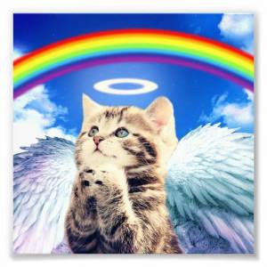 Раскраска котик с радугой #5 #350614