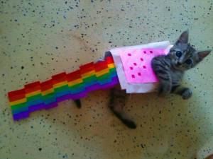Раскраска котик с радугой #25 #350634