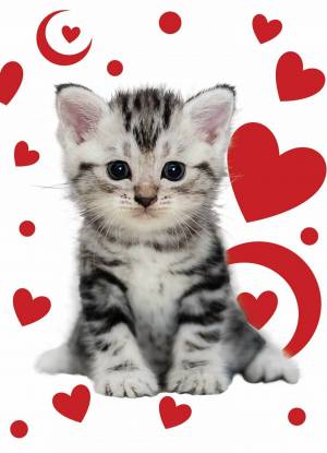 Раскраска котик с сердечком #24 #350671