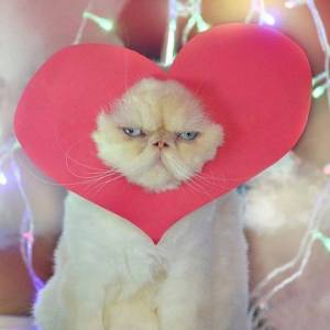 Раскраска котик с сердечком #32 #350679