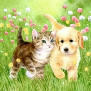 Раскраска котики и собачки для детей #12 #350850