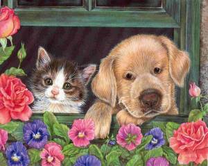 Раскраска котики и собачки для детей #14 #350852